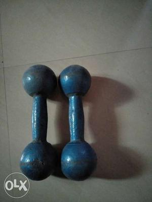 Two Blue Fixed Weight Dumbbells