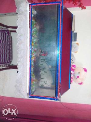 Fish aquarium tank with water filter and interiors
