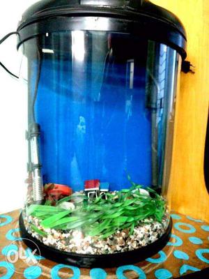 Molded Aquarium With pump,heater,oxygen supplier and decor