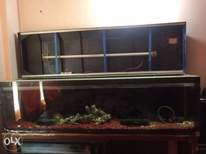 5.5 feet fish tank