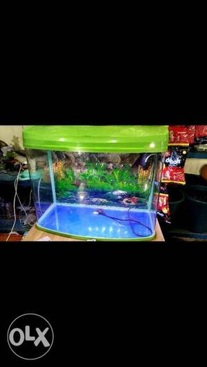 Aquarium Green Framed Fish Tank / Aquarium