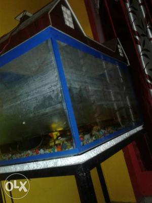 Blue Metal Framed Fish Tank