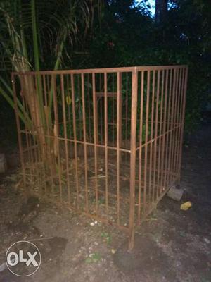 Dog Cage 2 Year Old