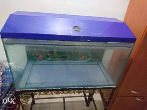 Fish Tank (18Hx36x16WL) with Iron Stand and 3Kg