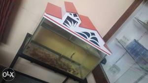 Fish Tank In Bengaluru