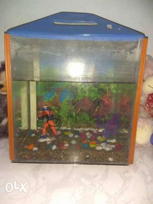 Fish aquarium normal size with 3 fishes... price