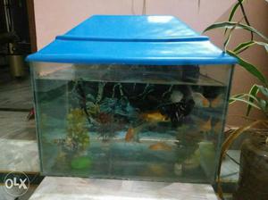Fish tank. 8 fishes. 2*1.5 feet. Oxygen filter