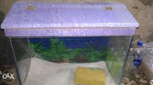 I have extra fish tank with roof & scenery in