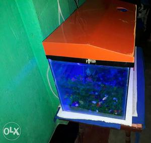 Orange Frame Fish Tank