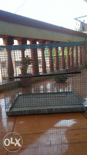 The big cage with water pot & feeding pot