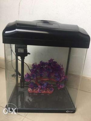 Two aquariums hardly used. gud condition. other