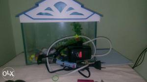 Aquarium with heater and and fish food and color