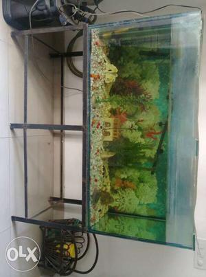 Aquarium with stand.. 2 years old. Six feet in length.