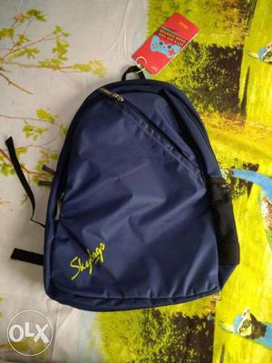 Blue Skybags Backpack