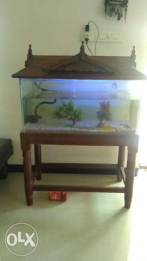 Fish tank with all equipments