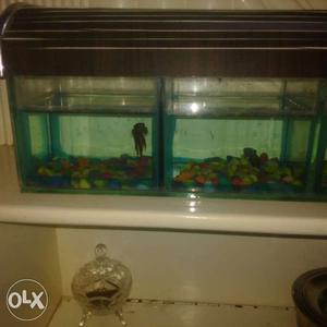 This is a rectangular specially aquarium made for