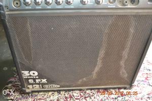 Black And White Celestion Guitar Amplifier