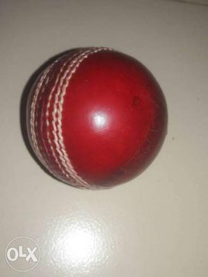 New cricket leather ball...