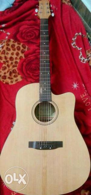 Spectrum Guitar fully acoustic almost new with bag