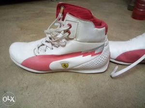 This is a puma limited ferrari edition. I bought