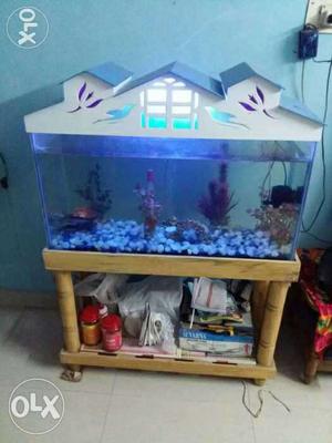 Aquarium with water air pump with 2 black shark