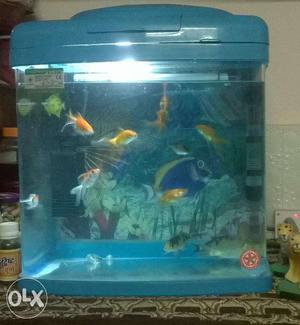 Fish Aquarium with all accessories only 1 month old