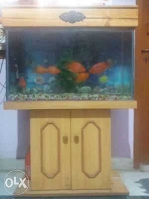 Fish tank consist of marbles inside it with a