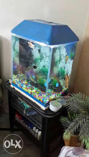 Fish tank with blue frame dimesnsions 1.5 ft