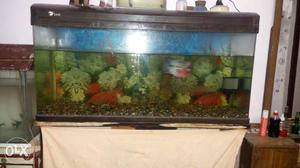 Imported fish tank 4 feet for sale