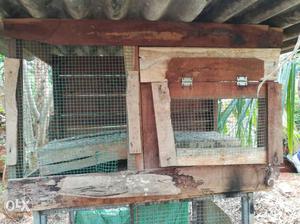 Pigeon or prave cage,with three small wooden cage