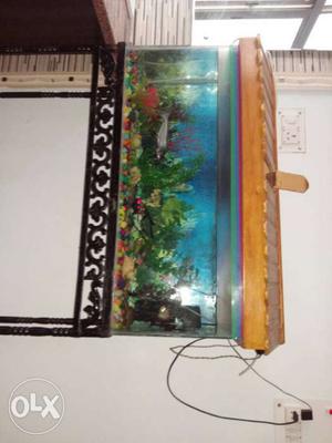 4 feet aquarium with fishes