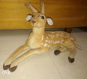 A cute deer of ₹ selling just because of