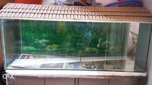 Aquarium (fish tank) size is 4×1.5 by 1.25 feet