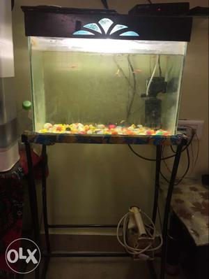 Fish tank with motor, fishes and fish stand only