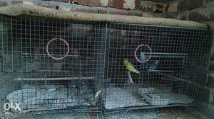 I have two small cages 2ft/1.5ft. rs150 each.