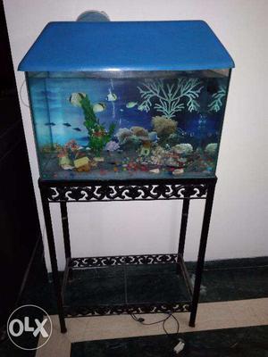 Fish Tank for urgent sale