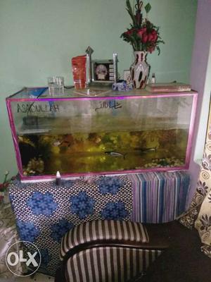 Fish Tank with filter 3.25 ft X 1.50ft X 2.25