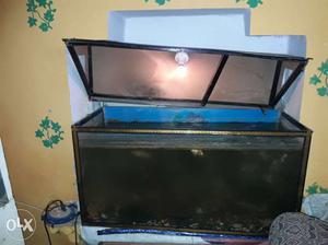 Fishes aquarium With 3 fish