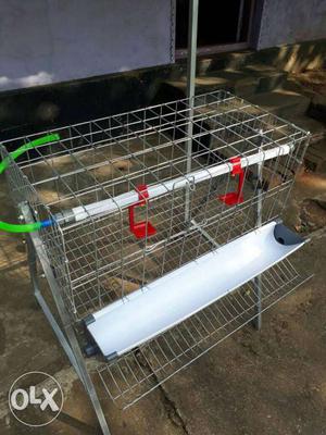 Poultry cage and bv380