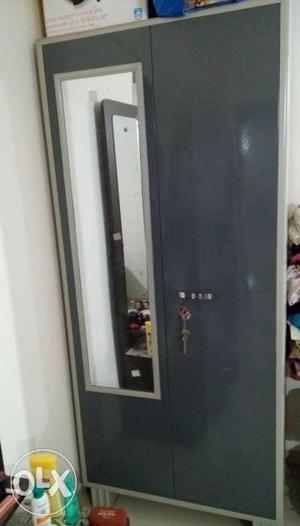 Steel wardrobe with mirror in good condition