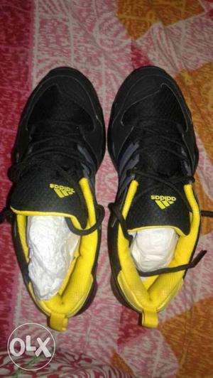 Brnad New Box Packing Adidas Zetroi Shoes sell