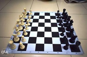 Professional Chess Set