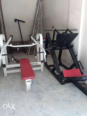 Two Gym Weight Systems