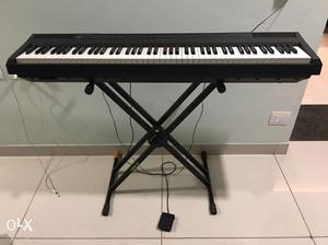 Yamaha P105 portable grand piano, 7 octaves.
