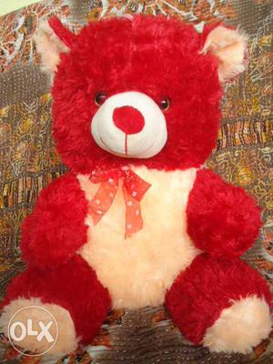 New Unused Teddy Bear Color A1 Quality Gift Soft Toy