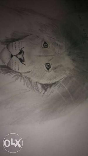 Portrait Sketch Of A Lion
