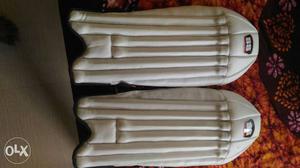 This the new wicket keeping pad !! Original SS