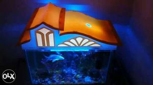 Very good condition fish tank with all accessories.