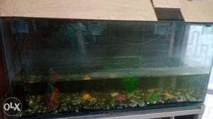 Fish tank L=5.5"ft, H=3ft, D=1.5ft.
