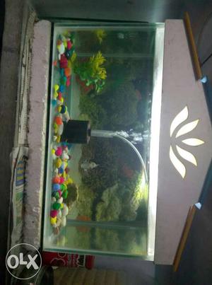 Floran fish tank